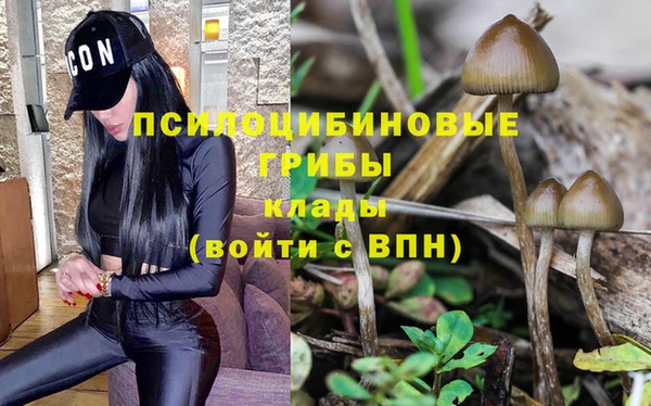 амф Армянск